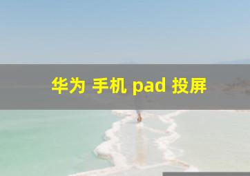 华为 手机 pad 投屏